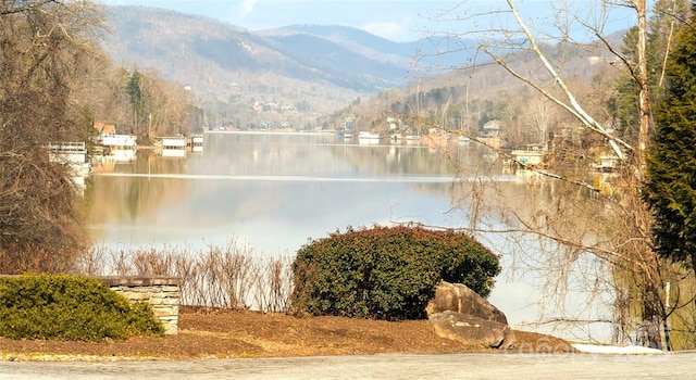 00 Buffalo Creek Rd, Lake Lure, NC 28746