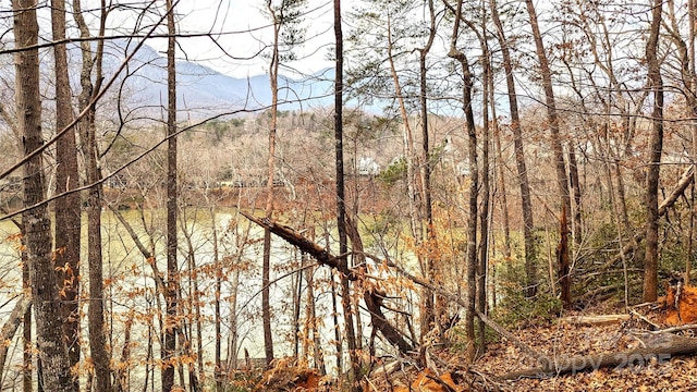 00 Buffalo Creek Rd, Lake Lure, NC 28746