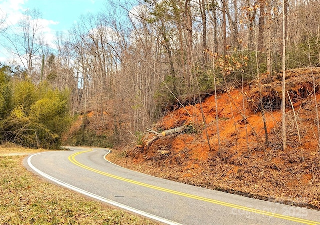 00 Buffalo Creek Rd, Lake Lure, NC 28746