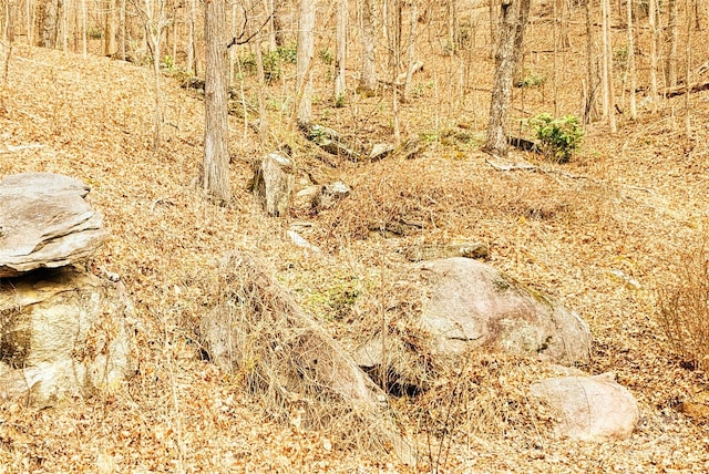00 Buffalo Creek Rd, Lake Lure, NC 28746