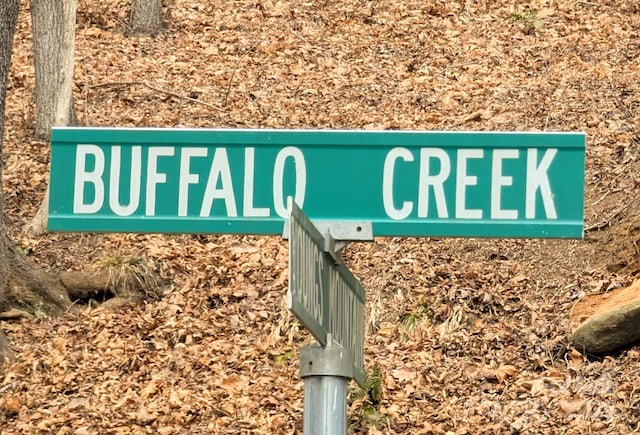 00 Buffalo Creek Rd, Lake Lure, NC 28746