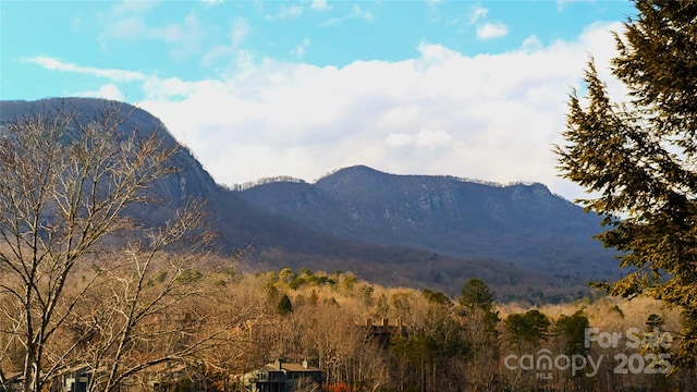 00 Buffalo Creek Rd, Lake Lure, NC 28746