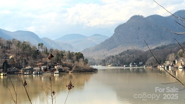 00 Buffalo Creek Rd, Lake Lure, NC 28746