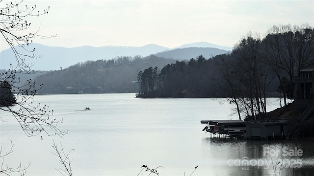 00 Buffalo Creek Rd, Lake Lure, NC 28746