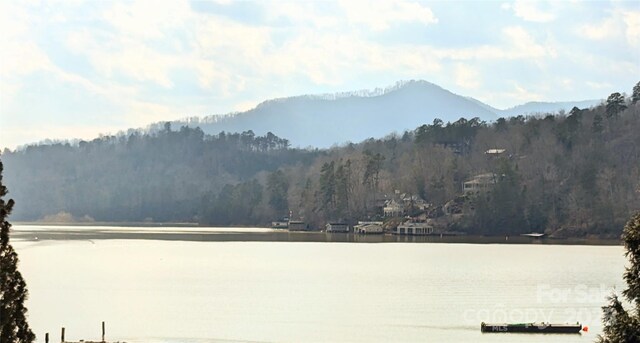 00 Buffalo Creek Rd, Lake Lure, NC 28746