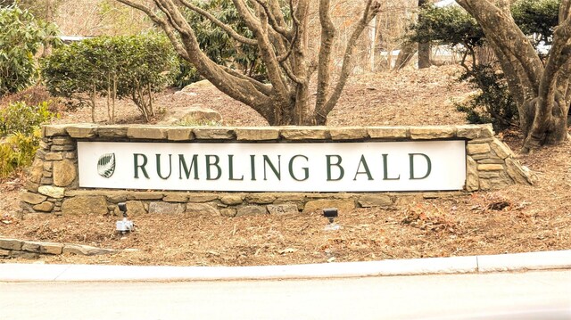 00 Buffalo Creek Rd, Lake Lure, NC 28746