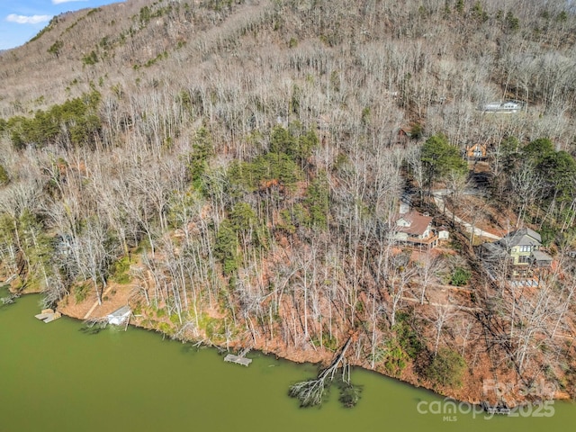 00 Buffalo Creek Rd, Lake Lure, NC 28746