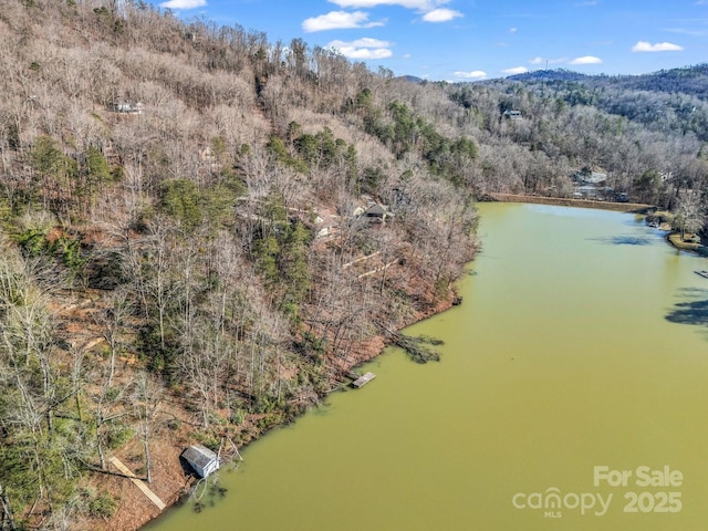 00 Buffalo Creek Rd, Lake Lure, NC 28746