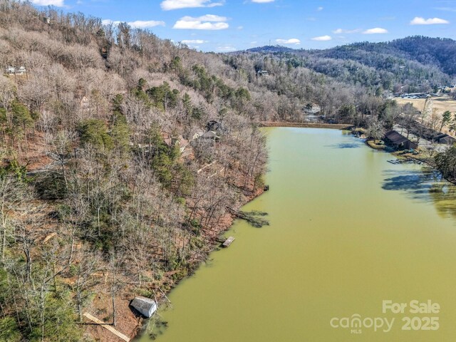00 Buffalo Creek Rd, Lake Lure, NC 28746