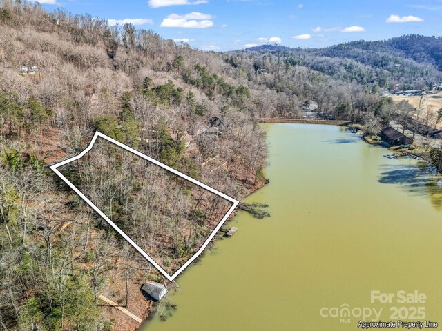 00 Buffalo Creek Rd, Lake Lure, NC 28746