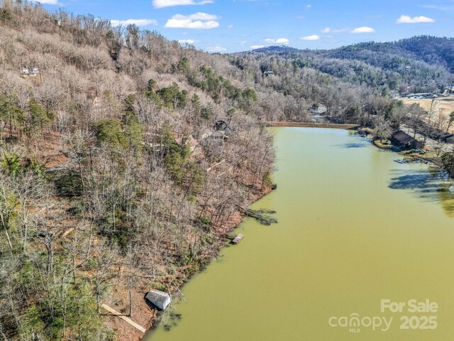 00 Buffalo Creek Rd, Lake Lure, NC 28746