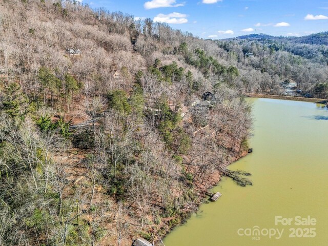 00 Buffalo Creek Rd, Lake Lure, NC 28746