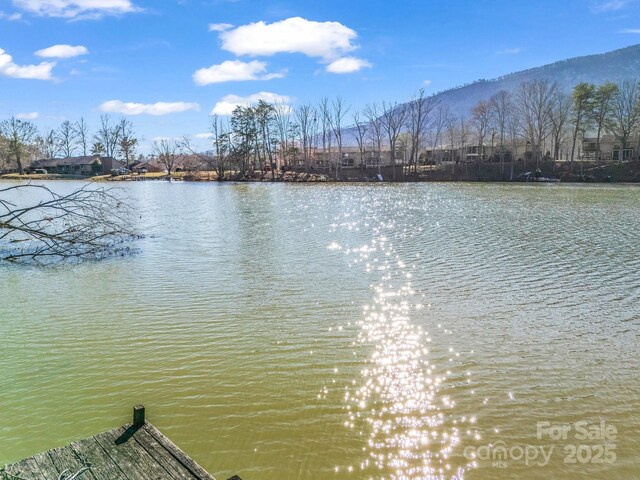 00 Buffalo Creek Rd, Lake Lure, NC 28746