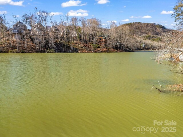 00 Buffalo Creek Rd, Lake Lure, NC 28746