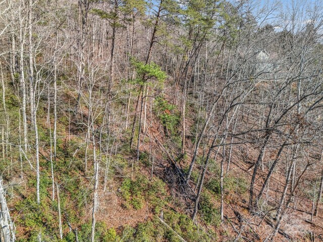 00 Buffalo Creek Rd, Lake Lure, NC 28746