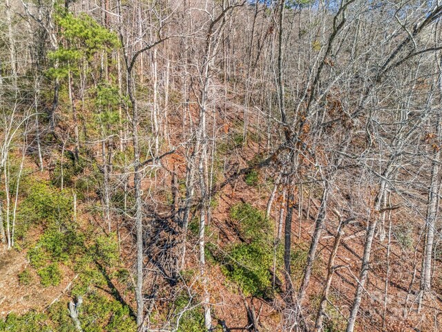 00 Buffalo Creek Rd, Lake Lure, NC 28746