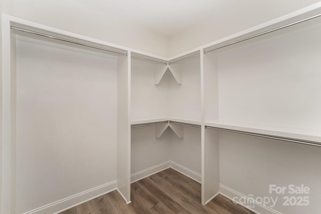 spacious closet with wood finished floors