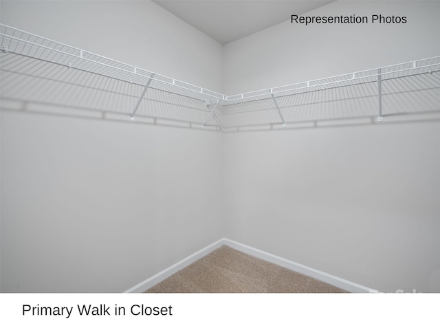 walk in closet with carpet