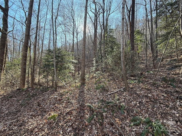 LOT343 Bolt Rd, Lake Lure NC, 28746 land for sale