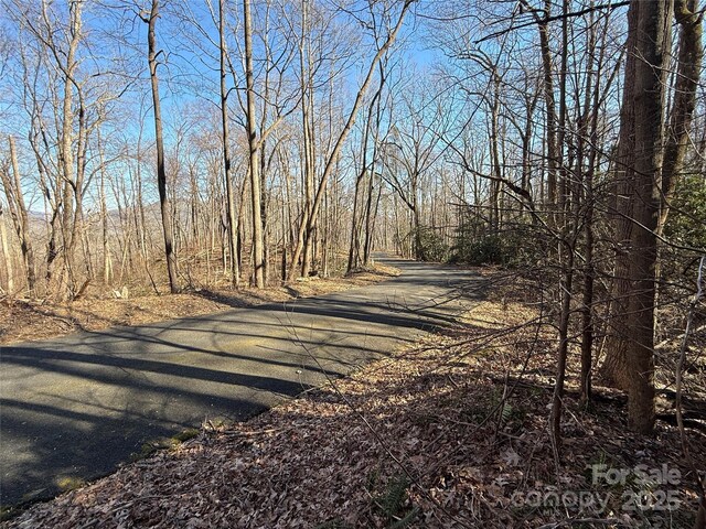 LOT343 Bolt Rd, Lake Lure, NC 28746