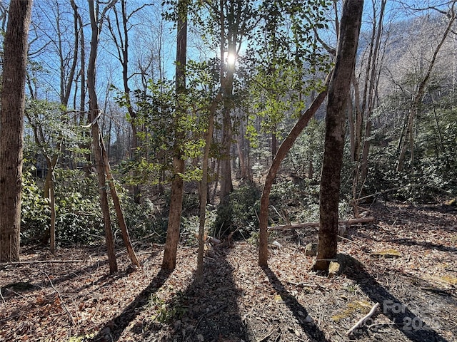 LOT343 Bolt Rd, Lake Lure, NC 28746