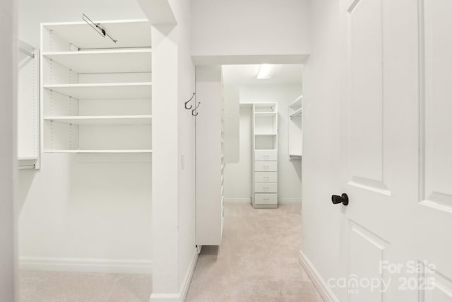 walk in closet with light colored carpet