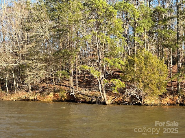 Listing photo 2 for 0 Forest Lake Ct, Mount Gilead NC 27306