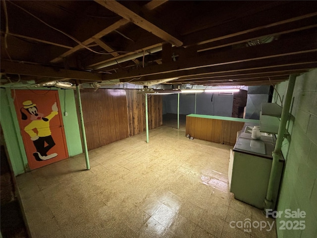 basement featuring wooden walls