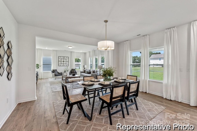 dining space featuring a healthy amount of sunlight and light hardwood / wood-style flooring