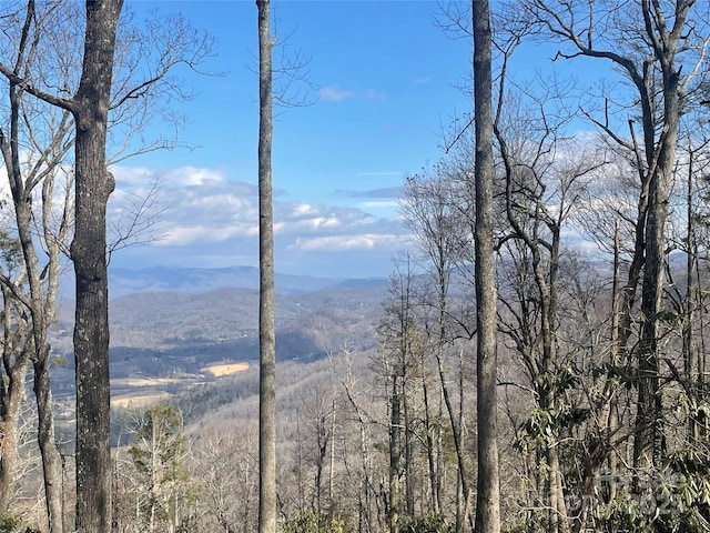 Listing photo 3 for 6 Laurel Ledge Way Lot 17, Fletcher NC 28732