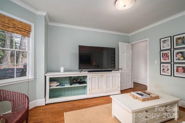 living room with ornamental molding and wood-type flooring
