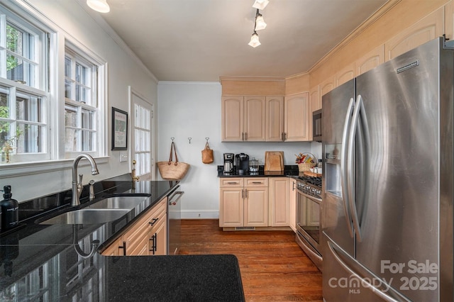 kitchen featuring sink, plenty of natural light, stainless steel appliances, dark hardwood / wood-style flooring, and ornamental molding