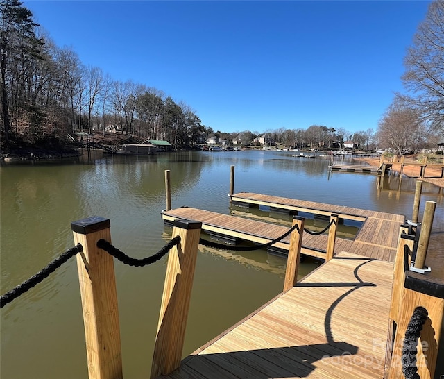 dock area with a water view