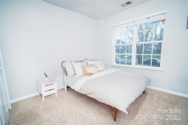 11907 Maria Ester Ct, Charlotte, NC 28277 - carpeted bedroom featuring baseboards, a textured ceiling, and visible vents