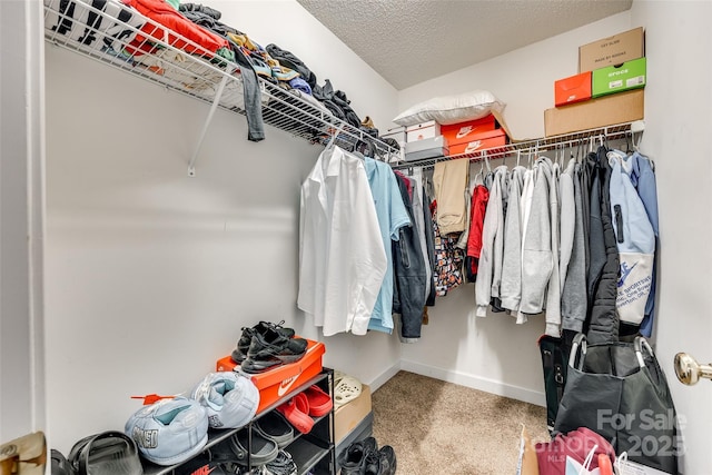 view of spacious closet