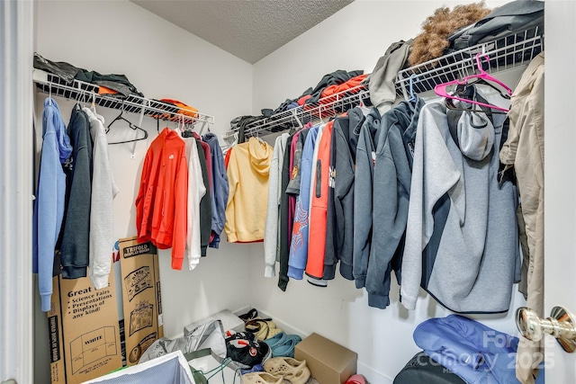 view of spacious closet