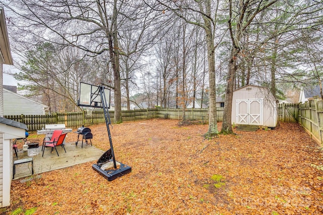 view of yard with a patio and a storage shed