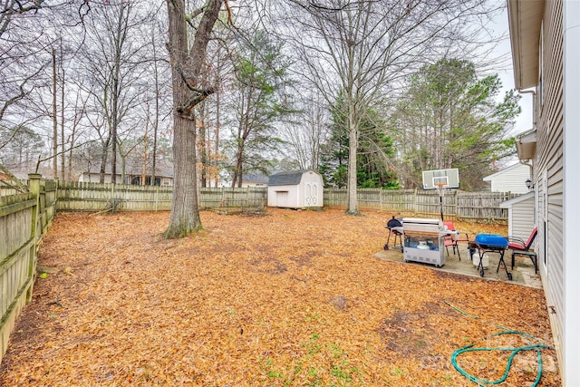 view of yard with a shed and a patio