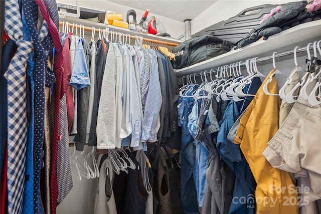 view of spacious closet