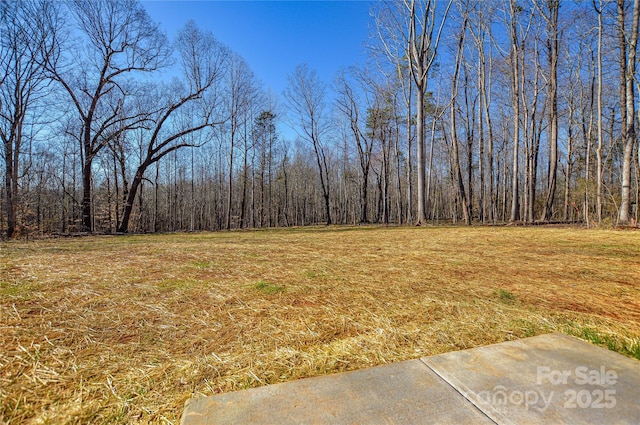 view of yard featuring a wooded view