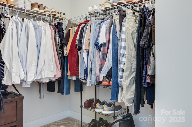 walk in closet with carpet