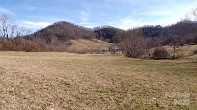 99999 Green Valley Rd, Leicester NC, 28748 land for sale