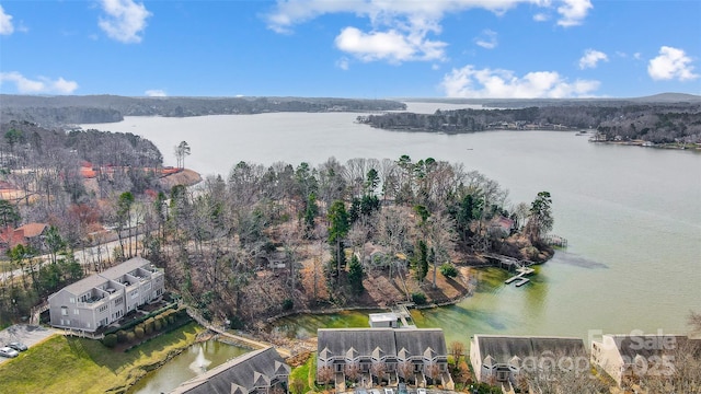 aerial view featuring a water view and a forest view