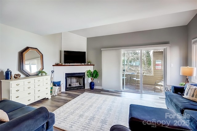 living room featuring a fireplace and wood finished floors