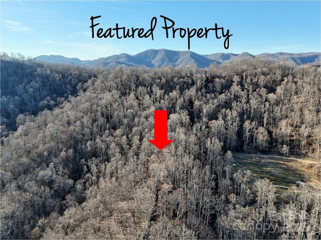 672 Porters Rdg, Canton NC, 28716 land for sale