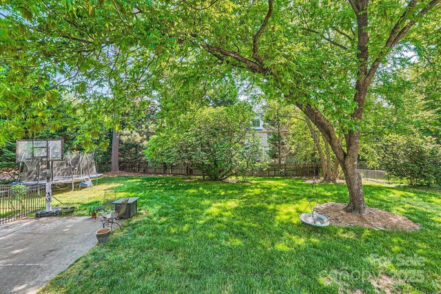 view of yard featuring a fenced backyard and a trampoline