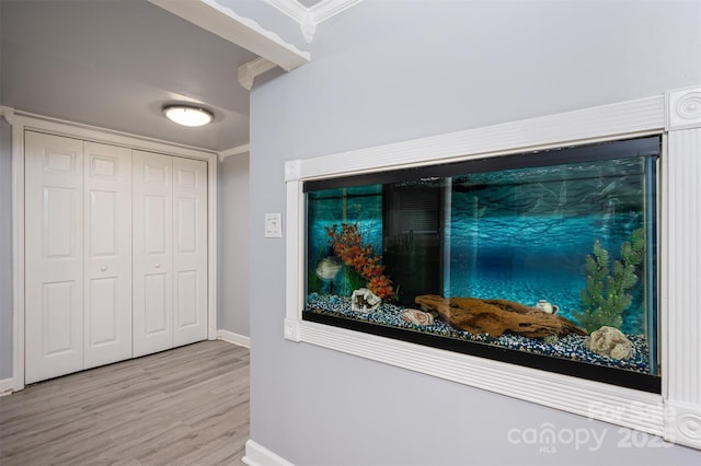 room details featuring ornamental molding and hardwood / wood-style floors