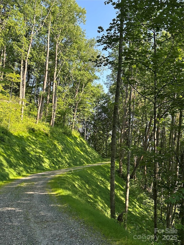 1414 Easy Wind Dr Unit 56, Swannanoa, NC 28778