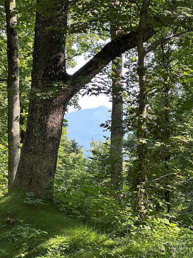 1414 Easy Wind Dr Unit 56, Swannanoa, NC 28778