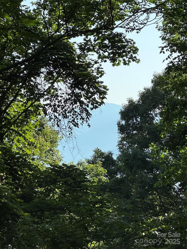 1414 Easy Wind Dr Unit 56, Swannanoa, NC 28778